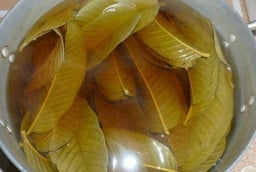 5 người tuyệt đối không nên uống nước lá ổi: Càng uống càng sinh bệnh