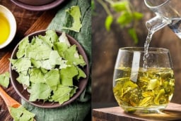 Uống nước lá sen, cơ thể nhận được 4 loại ích tuyệt vời