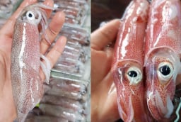 Mẹo phân biệt mực tươi và mực đã bị ướp đá lâu