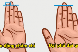 5 dấu hiệu trên lòng bàn tay của người giàu có, phúc khí dồi dào