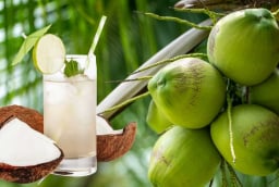 2 thời điểm uống nước dừa giúp giảm cân, giảm mỡ bụng