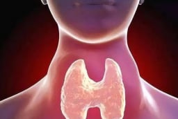 Không được ăn thịt gà khi mắc bệnh tuyến giáp? Cảnh báo 4 nhóm thực phẩm dễ gây dị ứng cần hạn chế