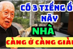 Nhà có 3 tiếng ồn này càng ở àng giàu có: Đó là âm thanh gì?