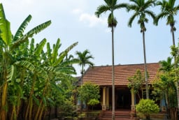 Vì sao người xưa dặn “chuối sau nhà, cau trước nhà”? Nếu đổi vị trí thì có thể ảnh hưởng gì xấu?