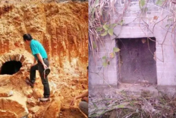 Khai quật mộ cổ 500 năm ở Tứ Xuyên, chuyên gia bất ngờ phát hiện sinh vật sống bí ẩn bên trong