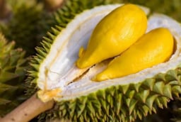 Người mắc 1 trong 5 bệnh này tuyệt đối không nên ăn sầu riêng