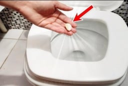 Vì sao nên bỏ một tép tỏi vào bồn cầu trước khi đi ngủ?