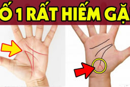 4 tướng tay của người tài ba nắm trong tay nhiều tài sản: Kiểm tra xem bạn có không?