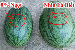 Vì sao khi mua dưa hấu người ta hay vỗ vào thân vỏ?