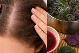 Cách gội đầu bằng nước lá tía tô hỗ trợ giúp da đầu sạch hơn, tóc bớt gãy rụng, mọc nhiều tóc mới