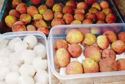 Mẹo bảo quản vải để cả năm vẫn tươi mọng, ngọt lừ