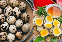 Trứng cút nhỏ nhưng có 9 lợi ích sức khỏe bất ngờ, nhiều người chưa biết