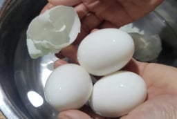 Trứng luộc bao nhiêu phút là ngon nhất?
