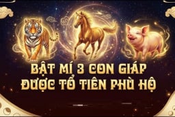 Không giàu sớm nhưng giàu bền: 3 con giáp tích lũy tiền tỷ ngập nhà