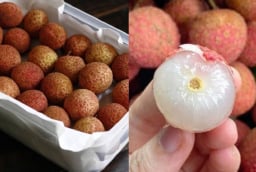 Cách bảo quản vải cả tháng vẫn mọng nước, tươi như mới hái: Mua về đừng vội cất tủ lạnh
