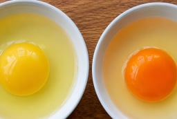 Lòng đỏ trứng càng đậm màu có phải càng bổ không?