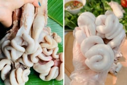 Luộc tràng lợn bao nhiêu phút thì chín? Ăn vừa giòn vừa thơm, trắng bong đẹp mắt