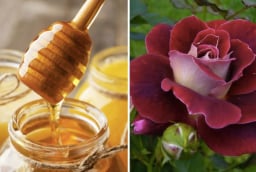 Công thức mặt nạ từ bột cánh hoa hồng giúp làn da mềm mại, rạng rỡ hơn