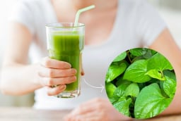 Rau diếp cá có thực sự tốt cho da mụn? Những công dụng và lưu ý cần biết khi sử dụng