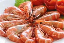 Người mắc 1 trong 5 bệnh này tuyệt đối không ăn tôm: Nặng có thể mất mạng