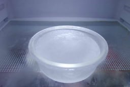 Vì sao nên đặt bát nước trong tủ lạnh