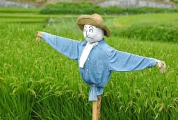 Tại sao bù nhìn trên đồng có thể đuổi được các loài chim thông minh?