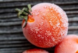 Cách làm đá viên cà chua giúp làm dịu da và hỗ trợ cải thiện làn da xỉn màu
