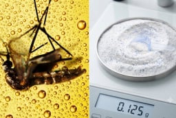 Đuổi muỗi hiệu quả chỉ với bia và bột giặt: Mẹo cực hay không cần dùng hóa chất
