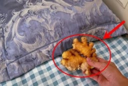 Tại sao bạn nên để một củ gừng ở đầu giường?