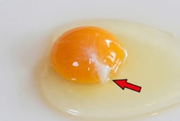 Trứng gà đập ra có sợi trắng đục: Có ăn được không?