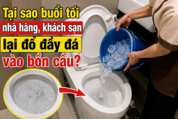 Tại sao buổi tối nhà hàng, khách sạn lại đổ đầy đá vào bồn cầu?