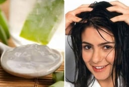 Cách ủ tóc bằng nha đam mềm mượt, giảm rụng tóc không tốt tiền