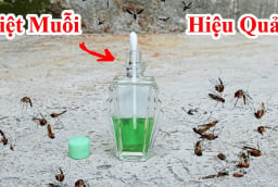 10 cách đuổi muỗi đơn giản, nhà sạch bóng không còn tiếng vo ve
