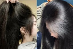 7 loại lá tự nhiên giúp tóc khỏe, giảm rụng, tóc con đua nhau mọc
