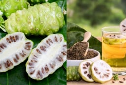 Quả nhàu rất tốt nhưng 3 nhóm người này không nên dùng