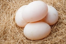 5 người không nên ăn trứng vịt, càng ăn càng hại