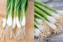 Phần rễ hành lá không phải đồ bỏ đi, giữ lại có lợi ích đặc biệt