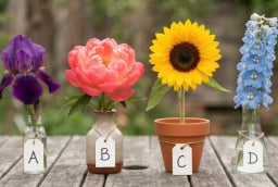 Chọn 1 bông hoa bạn thích nhất