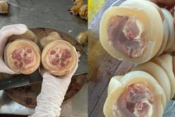 Vó bò là bộ phận nào của con bó?