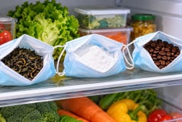Vì sao nhiều nhà đặt khẩu trang y tế trong tủ lạnh? Hóa ra là mẹo thú vị