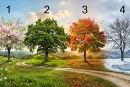 Trắc nghiệm: Lựa chọn 1 cái cây sẽ nói cho bạn biết tháng 9 âm bạn giàu có hay không?