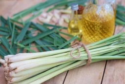 Vì sao nên đặt bó sả vào nhà vệ sinh