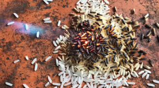 Gạo nhựa đốt cháy khét lẹt đang lan tràn: Bỏ túi ngay bí quyết chọn gạo ngon, 'sạch' mà không cần nấu thử