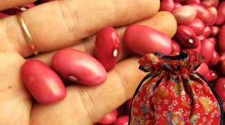 Mẹ chồng “NGÃ NGỬA” khi phát hiện con dâu giấu đậu đỏ dưới gối, lí do ai cũng bất ngờ