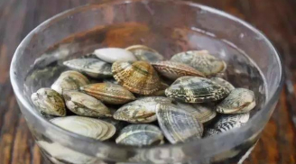 Tuyệt chiêu của ngư dân khiến ngao 'nôn' sạch cát không còn một hạt trước khi nấu vô cùng đơn giản