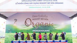 Dự án “Resort” bò sữa Organic quy mô 5.000ha tại Lào của Vinamilk – Thành quả của sự hợp tác Lào-Việt-Nhật