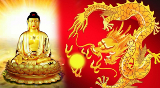 Bước qua tháng 6: 3 con giáp đổi vận đổi đời, quý nhân dẫn đường- thần tài chỉ lối khiến thiên hạ phát hờn
