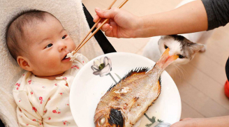 Những loại cá chứa nhiều dinh dưỡng cho trẻ ăn, giúp tăng cường khả năng miễn dịch