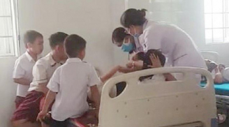 26 học sinh tiểu học bị ong đốt phải nhập viện cấp cứu