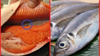3 bộ phận cực độc của cá, đừng dại ăn vào kẻo nguy hại